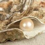 oyster-pearl-100903-02